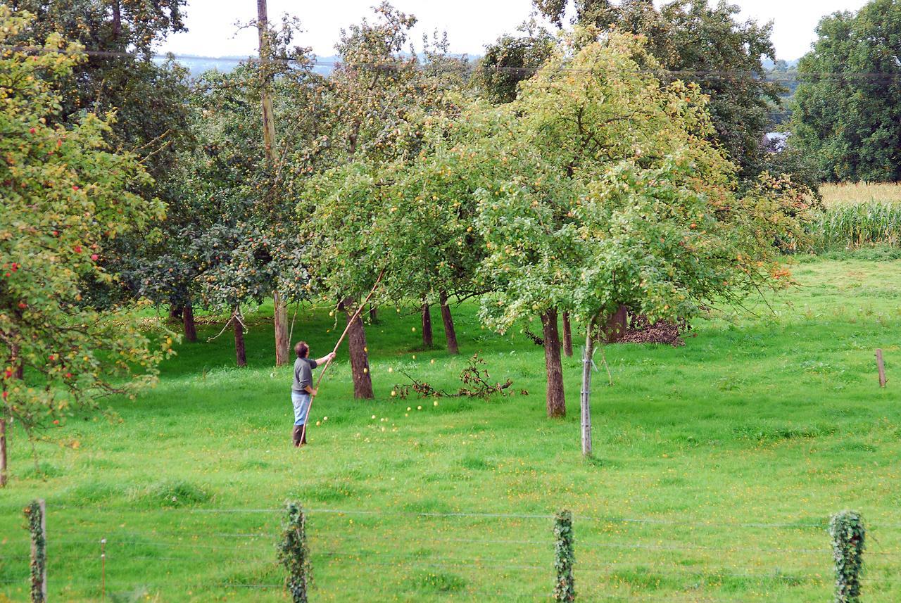 Bion Maison Voie Verte المظهر الخارجي الصورة